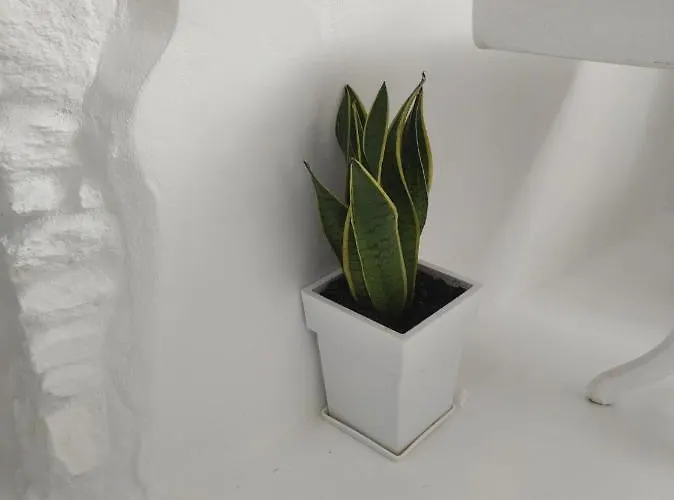 Sao Smallport Paros Νάουσα